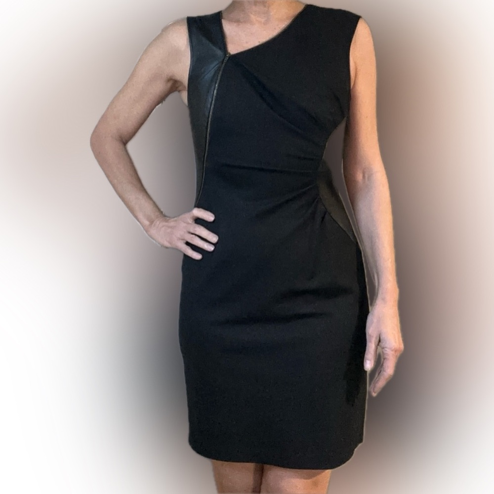 Ali Ro 90s Zipper Dress with Real Leather Accents
